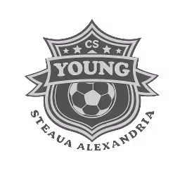 Young Steaua